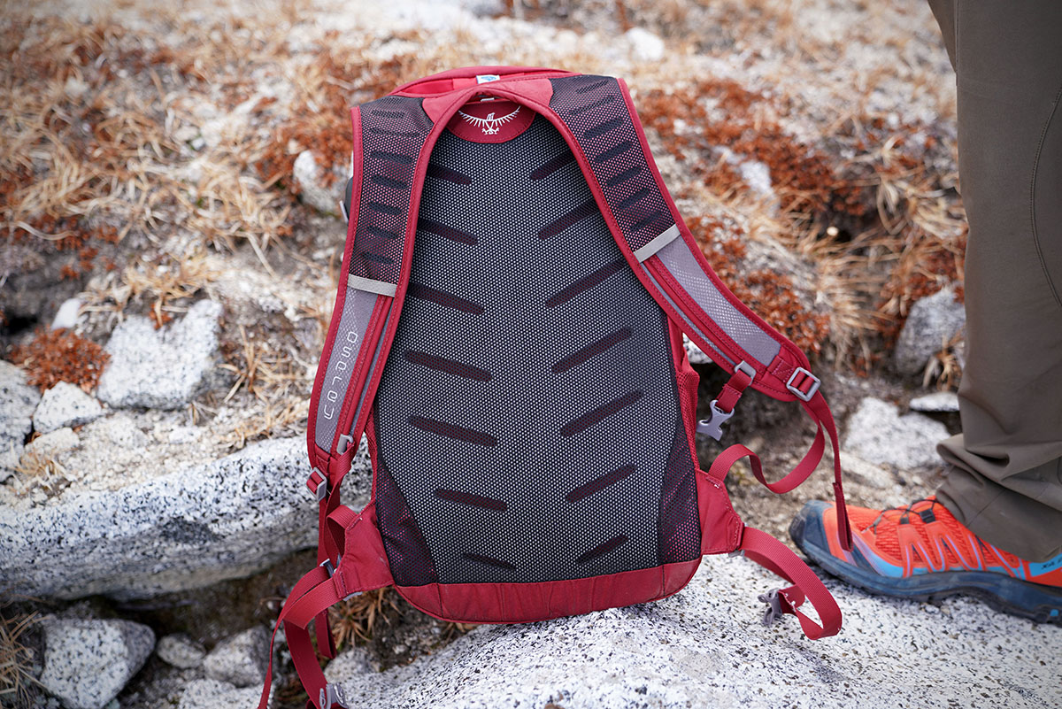 Osprey Daylite Plus Daypack Review Switchback Travel